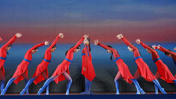 1668134754329005.gif